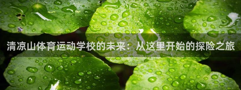 清凉山体育运动学校的未来：从这里开始的探险之旅