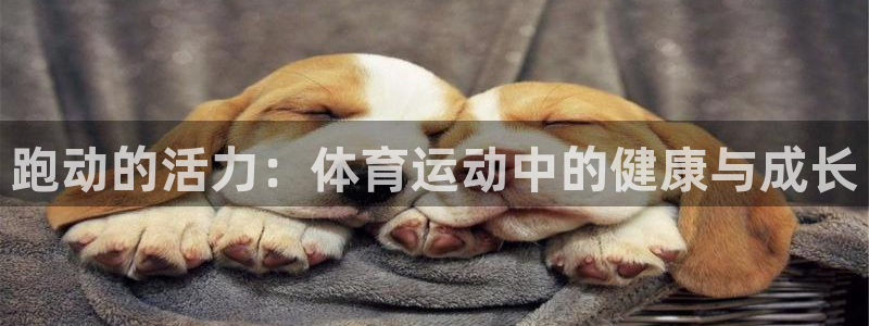 跑动的活力：体育运动中的健康与成长