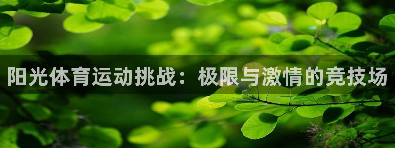 阳光体育运动挑战：极限与激情的竞技场