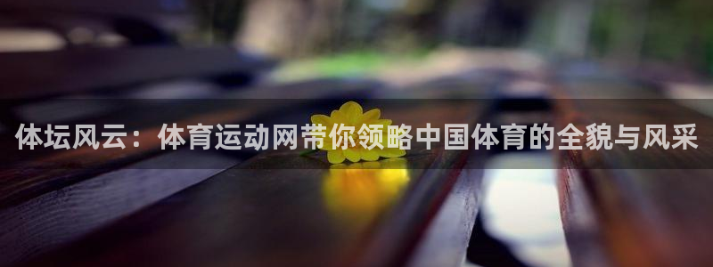 体坛风云：体育运动网带你领略中国体育的全貌与风采