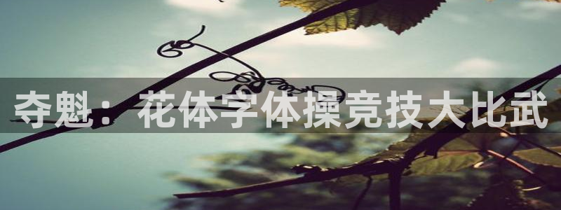 夺魁：花体字体操竞技大比武