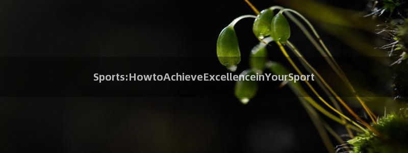 Sports:HowtoAchieveExcellenceinYourSport